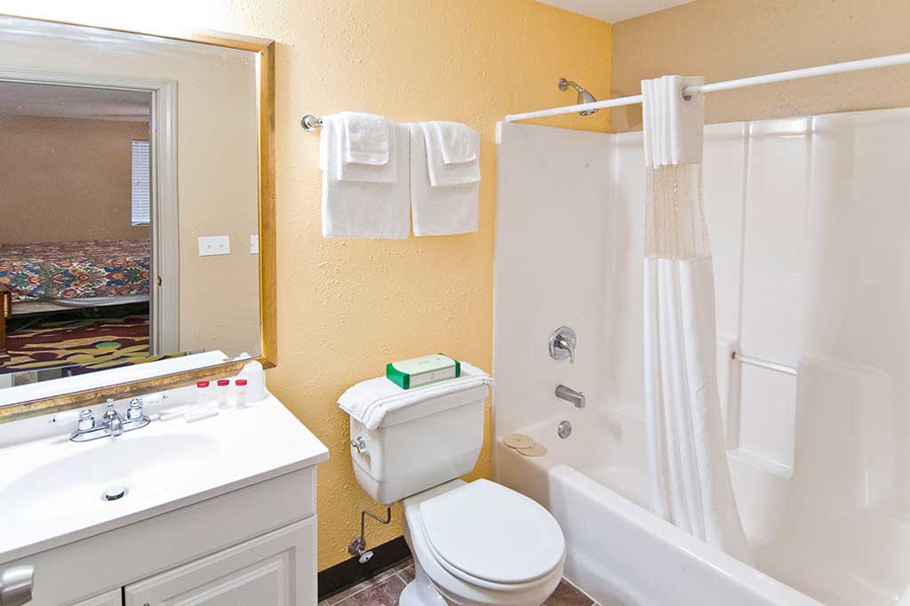 Large Bathroom