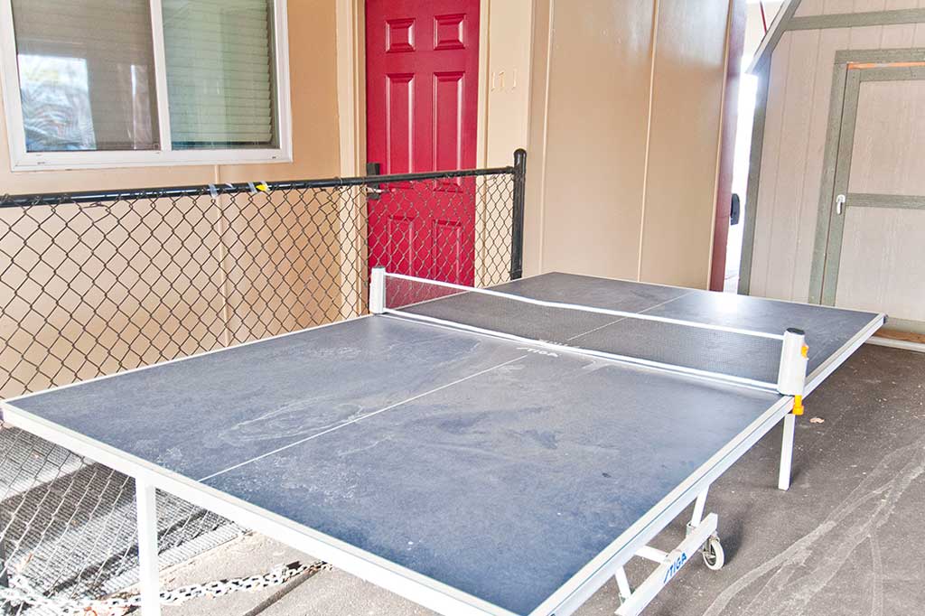 Ping Pong Table